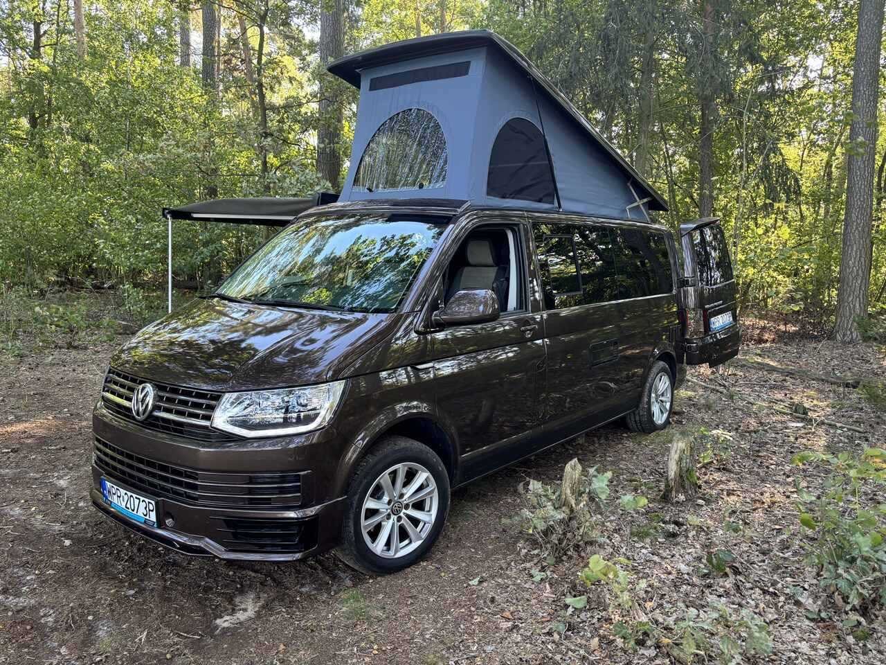 VW California z podniesionym dachem w lesie